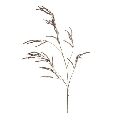 Decorative branch Amaranth CERRO with blossoms, brown, 3ft/100cm Decorative branch Amaranth CERRO with blossoms, brown, 3ft/100cm