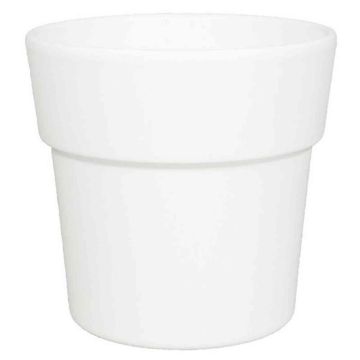 Pot with rim for orchids MARIVAN, ceramic, white matt, 4.9"/12,5cm, Ø5.3"/13,5cm Pot with rim for orchids MARIVAN, ceramic, white matt, 4.9"/12,5cm, Ø5.3"/13,5cm