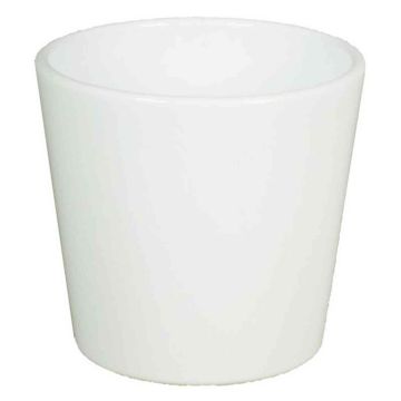 Ceramic pot for orchids BANEH, white, 4.9"/12,5cm, Ø5.3"/13,5cm Ceramic pot for orchids BANEH, white, 4.9"/12,5cm, Ø5.3"/13,5cm