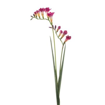Artificial branch freesia SVERINA, fuchsia, 31"/80cm Artificial branch freesia SVERINA, fuchsia, 31"/80cm