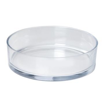 Glass bowl VERA OCEAN, transparent, 3.1"/8cm, &Oslash;11"/29cm