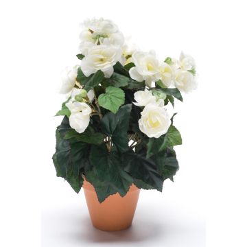 Artificial begonia CATINKA in terracotta pot, cream, 12"/30cm Artificial begonia CATINKA in terracotta pot, cream, 12"/30cm