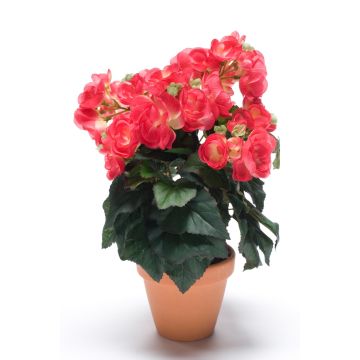 Artificial begonia CATINKA in terracotta pot, fuchsia, 12"/30cm Artificial begonia CATINKA in terracotta pot, fuchsia, 12"/30cm