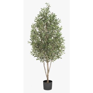 Artificial olive tree DEACON, real trunk, with fruits, 6ft/170cm