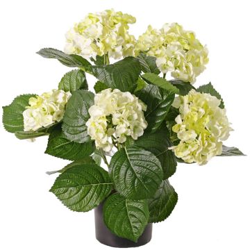 Artificial flower hydrangea TEMARI, cream-green, 16"/40cm, Ø3.9"-4.7"/10-12cm