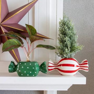 Simple Christmas, sweetly packaged