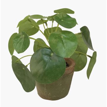 Artificial Chinese money plant SYBIL in terracotta pot, green, 5.1"/13cm