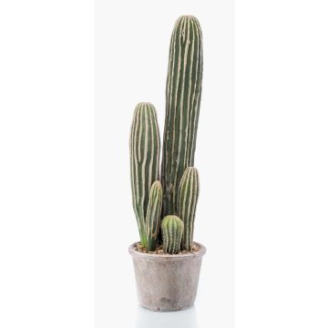 Artificial San Pedro cactus DACON in decorative pot, green, 22"/55cm