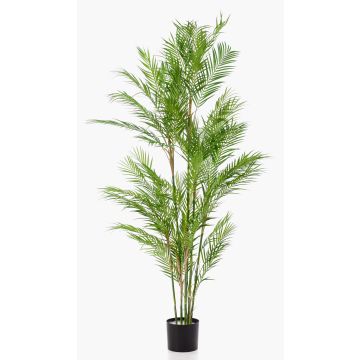 Artificial parlour palm REDOVAN, 6ft/180cm