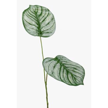 Artificial Calathea Orbifolia branch TAMARIU, green-white, 20"/50cm