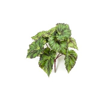 Artificial painted-leaf begonia MEIRA on spike, green-black, 10"/25cm Artificial painted-leaf begonia MEIRA on spike, green-black, 10"/25cm