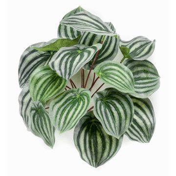 Artificial baby rubberplant KEPANO on spike, green-white, 10"/25cm