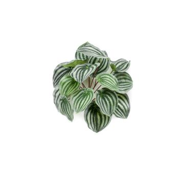 Artificial baby rubberplant KEPANO on spike, green-white, 10"/25cm