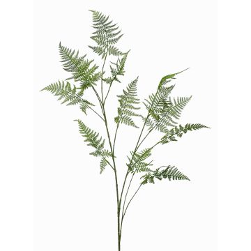 Artificial Asparagus Fern branch FAYNA, 4ft/135cm Artificial Asparagus Fern branch FAYNA, 4ft/135cm
