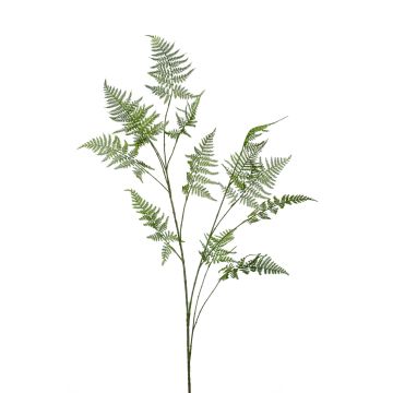 Artificial Asparagus Fern branch FAYNA, 4ft/135cm