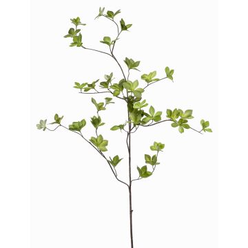 Artificial Tropaeolum speciosum branch SAMAY, green, 4ft/115cm