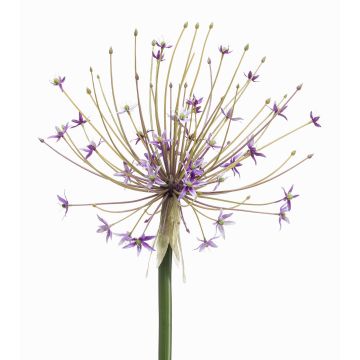 Plastic Allium GETARIA, purple, 3ft/105cm