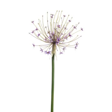 Plastic Allium GETARIA, purple, 3ft/105cm