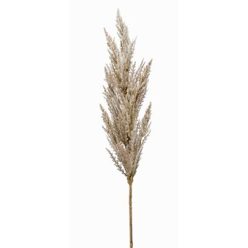 Artificial pampas grass panicle BATERNO, with panicle, cream, 3ft/90cm
