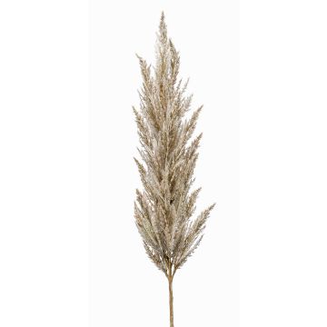 Artificial pampas grass panicle BATERNO, cream, 4ft/115cm