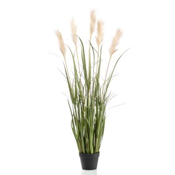 Artificial pampas grass ALCANTARA with panicles, green, 4ft/130cm
