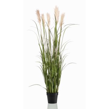 Artificial pampas grass ALCANTARA with panicles, green, 5ft/160cm