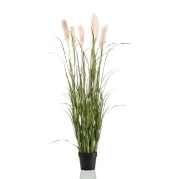 Artificial pampas grass ALCANTARA with panicles, green, 5ft/160cm