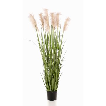 Artificial pampas grass ALCANTARA with panicles, green, 6ft/175cm