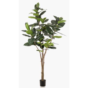 Artificial Ficus Elastica tree FERIA, artificial trunk, green, 7ft/210cm
