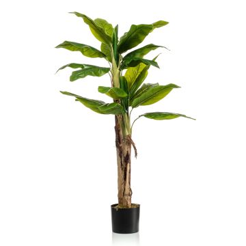 Fake banana tree Duo ENTRIN, 5ft/140cm Fake banana tree Duo ENTRIN, 5ft/140cm