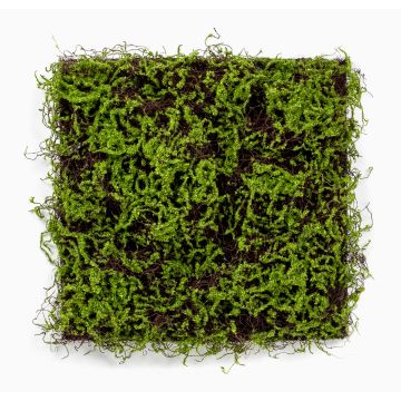 Artificial moss mat MIRANDILA, green, 20"x20"/50x50cm