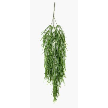 Artificial Rhipsalis hanger TALIGA on spike, green, 31"/80cm