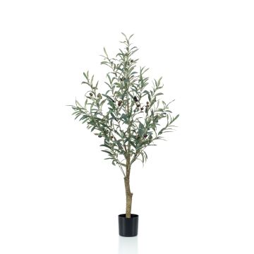 Artificial olive tree CLAYTON, artificial trunk, with fruits, 4ft/115cm Artificial olive tree CLAYTON, artificial trunk, with fruits, 4ft/115cm