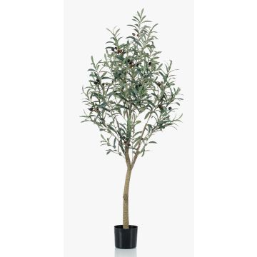 Artificial olive tree CLAYTON, artificial trunk, with fruits, 5ft/140cm