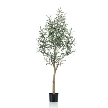 Artificial olive tree CLAYTON, artificial trunk, with fruits, 5ft/140cm Artificial olive tree CLAYTON, artificial trunk, with fruits, 5ft/140cm