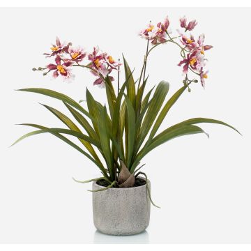 Artificial orchid Oncidium COLUNGA in ceramic pot, light pink-purple, 18"/45cm
