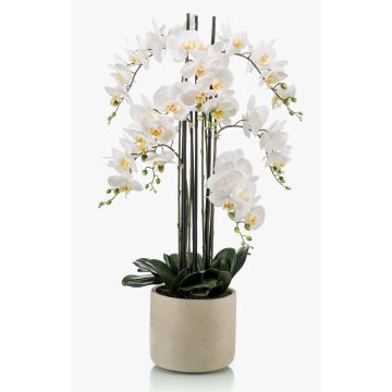 Artificial orchid Phalaenopsis CECILE, ceramic pot, white, 3ft/100cm