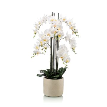 Artificial orchid Phalaenopsis CECILE, ceramic pot, white, 3ft/100cm Artificial orchid Phalaenopsis CECILE, ceramic pot, white, 3ft/100cm