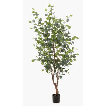 Artificial eucalyptus tree ANUHEA, artificial trunk, green-grey, 5ft/140cm Artificial eucalyptus tree ANUHEA, artificial trunk, green-grey, 5ft/140cm