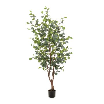 Artificial eucalyptus tree ANUHEA, artificial trunk, green-grey, 5ft/140cm Artificial eucalyptus tree ANUHEA, artificial trunk, green-grey, 5ft/140cm