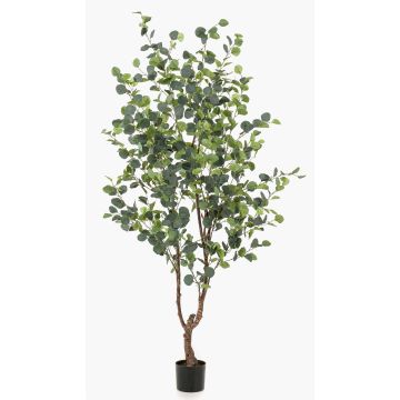 Artificial eucalyptus tree ANUHEA, artificial trunk, green-grey, 6ft/180cm Artificial eucalyptus tree ANUHEA, artificial trunk, green-grey, 6ft/180cm