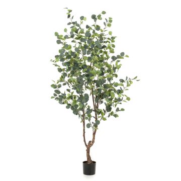 Artificial eucalyptus tree ANUHEA, artificial trunk, green-grey, 6ft/180cm Artificial eucalyptus tree ANUHEA, artificial trunk, green-grey, 6ft/180cm