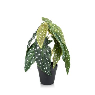 Artificial trout begonia JOELLE, green-white, 12"/30cm Artificial trout begonia JOELLE, green-white, 12"/30cm