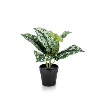 Artificial satin pothos OBASI, green-white, 10"/25cm Artificial satin pothos OBASI, green-white, 10"/25cm