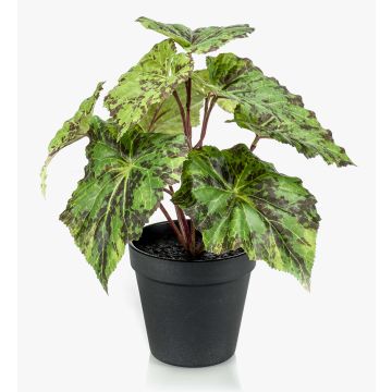 Artificial painted-leaf begonia MEIRA, green-black, 10"/25cm