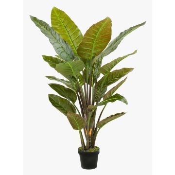 Artificial bird of paradise RIBERA, green, 4ft/135cm