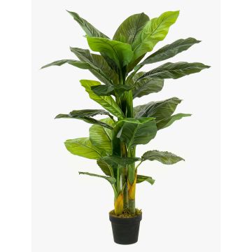 Artificial peace lily SIERO, green, 4ft/130cm