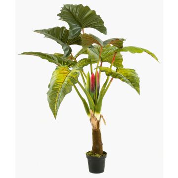 Artificial Colocasia SOTU, green, 5ft/160cm