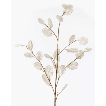 Artificial lunaria branch BUELNA, cream, 3ft/105cm Artificial lunaria branch BUELNA, cream, 3ft/105cm