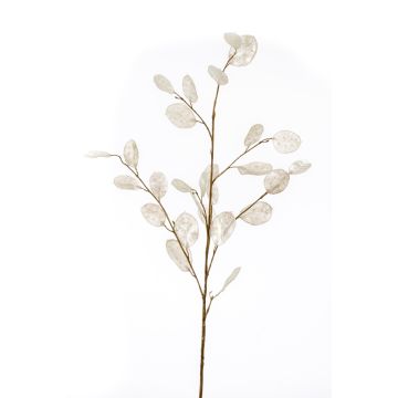 Artificial lunaria branch BUELNA, cream, 3ft/105cm Artificial lunaria branch BUELNA, cream, 3ft/105cm